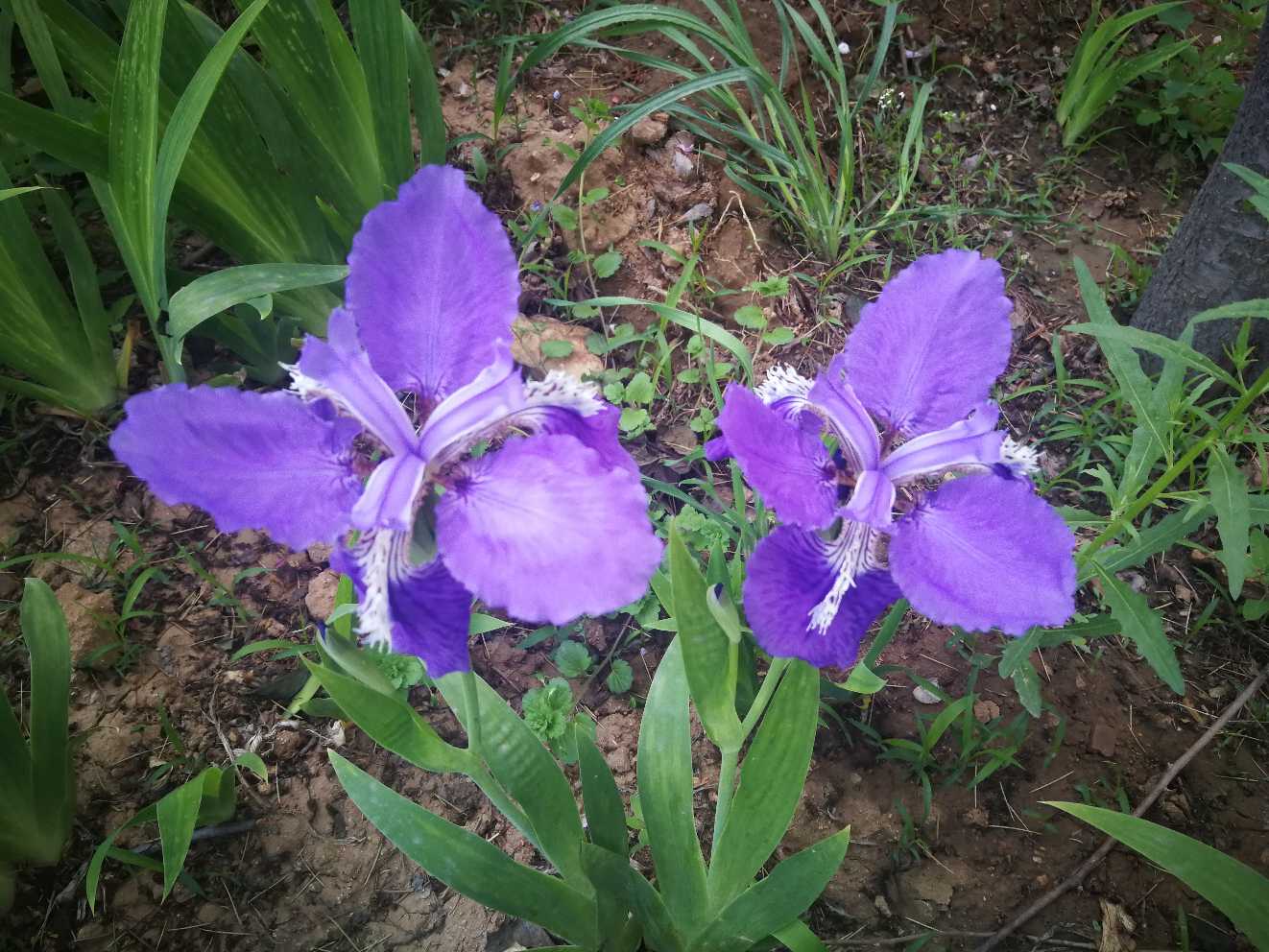 ‘太阳集团tyc’微软发布Win10重大更新!改进棒 升级(图3) 太阳成集团tyc