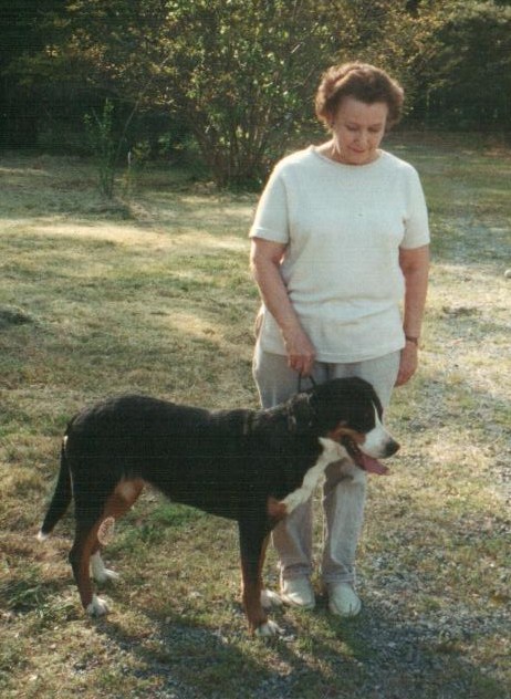 太阳成集团tyc_苦等7年半!《上古卷轴6》正式宣布(图4) 太阳集团tyc