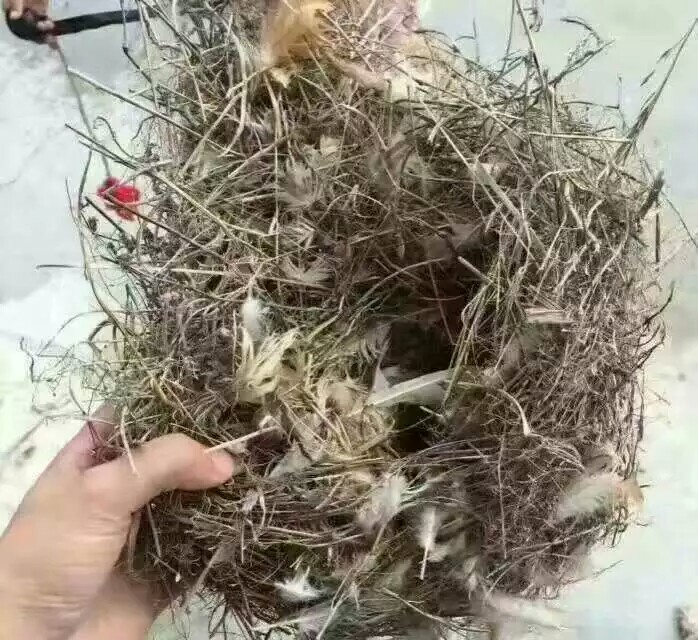 太阳成集团tyc