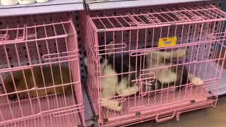太阳集团tyc